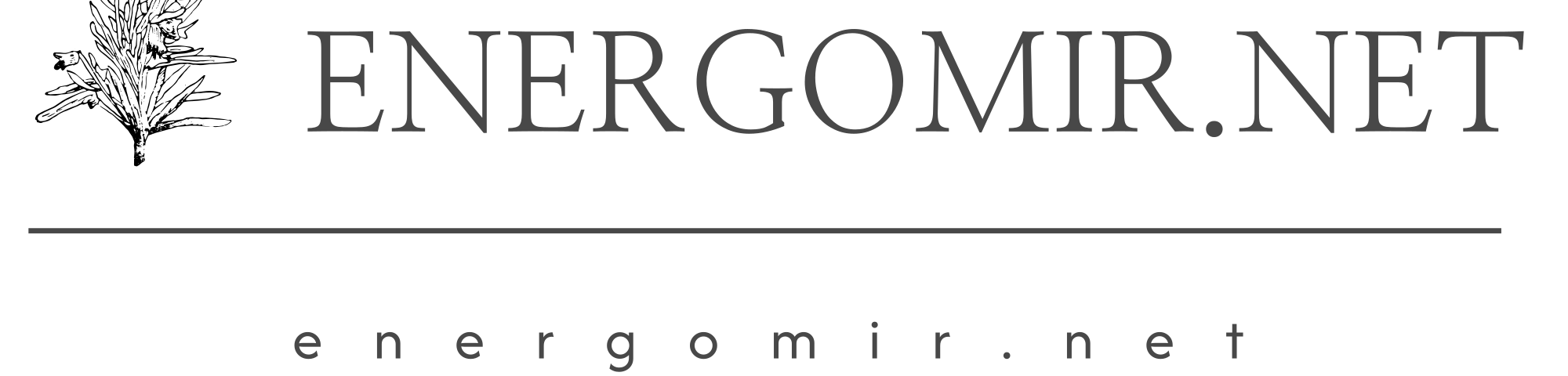 logo energomir